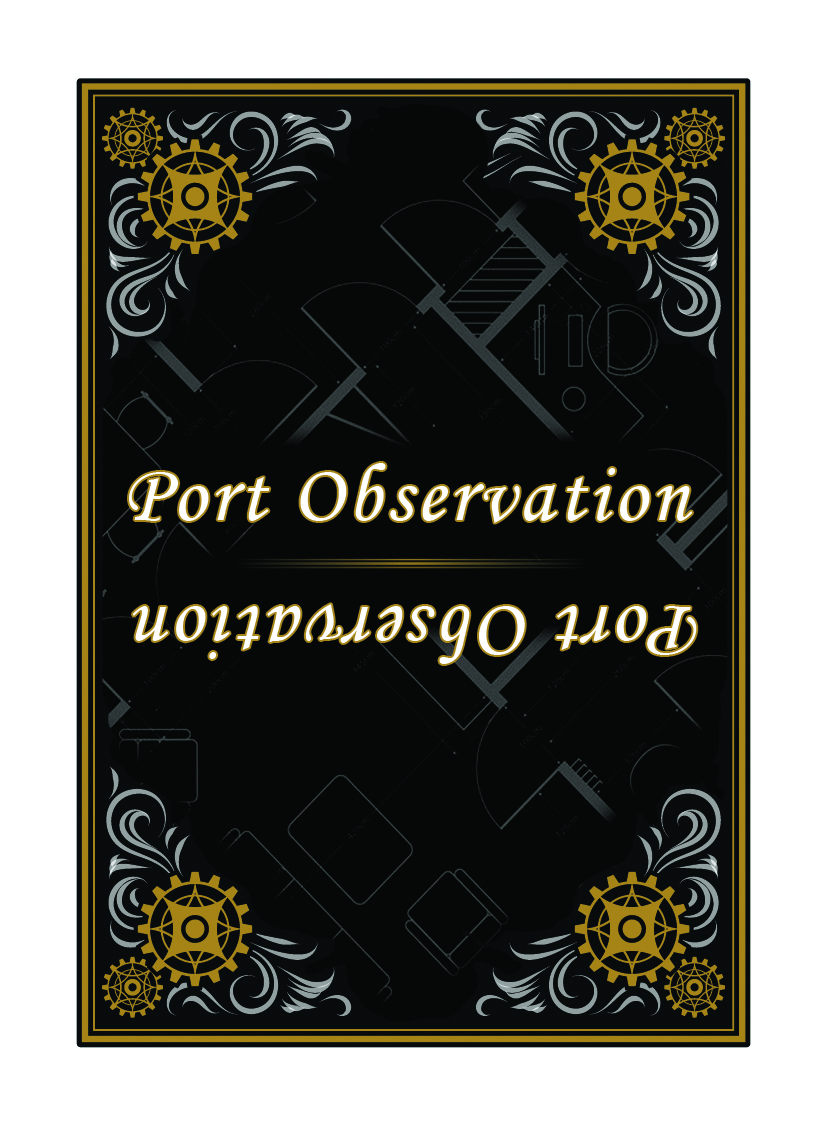 Port Observation